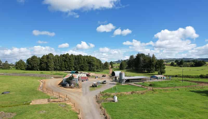 503 Puhipuhi Road, Whakapara