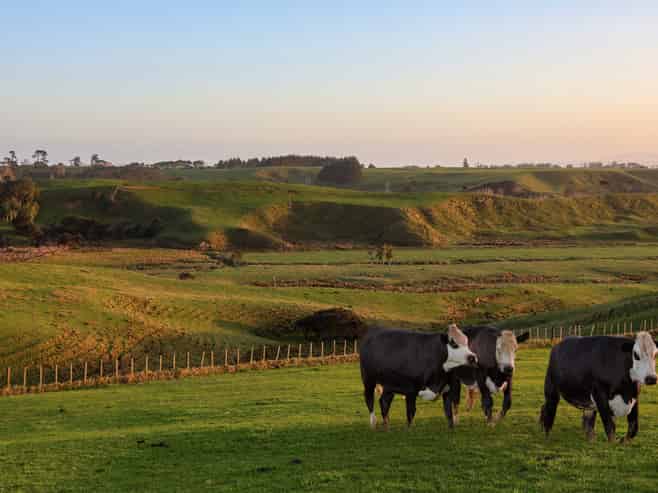 440 Fordyce Road, Helensville