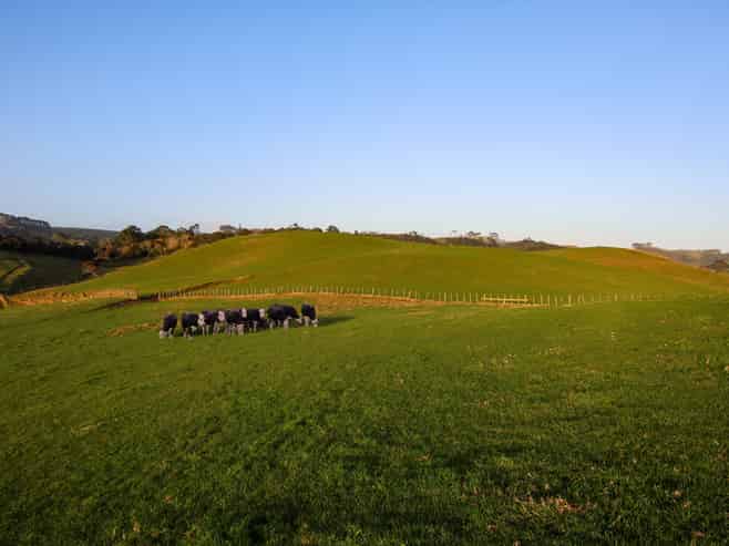 440 Fordyce Road, Helensville