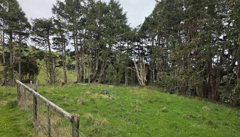 728 Kawhia Road, Raglan