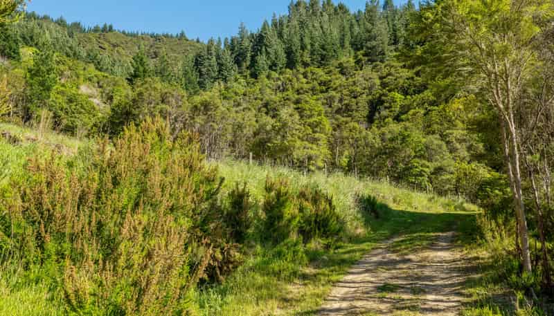 793 Waikakaho Road, Tuamarina