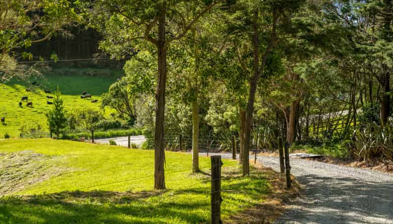 793 Waikakaho Road, Tuamarina