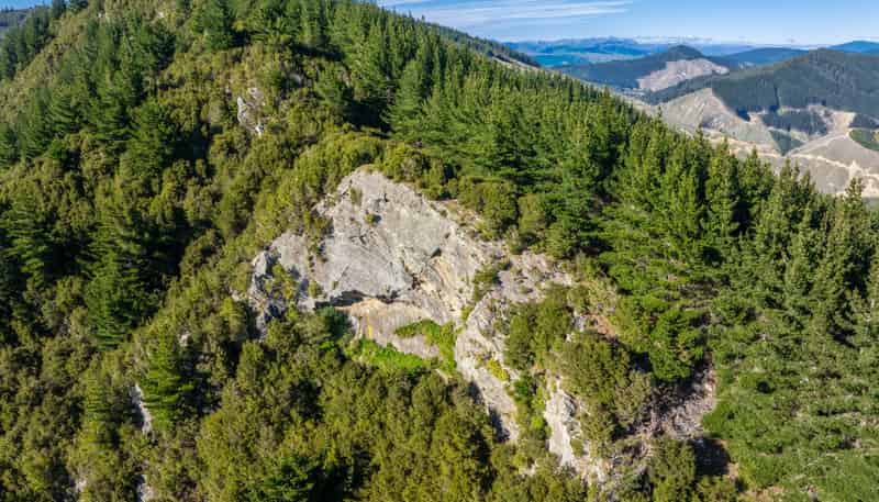 793 Waikakaho Road, Tuamarina