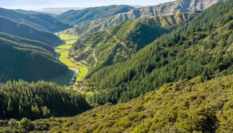 793 Waikakaho Road, Tuamarina
