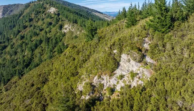 793 Waikakaho Road, Tuamarina