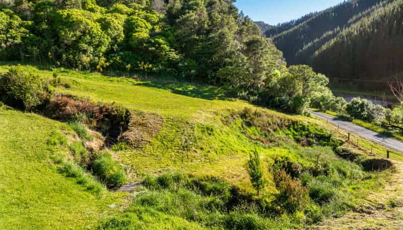 793 Waikakaho Road, Tuamarina