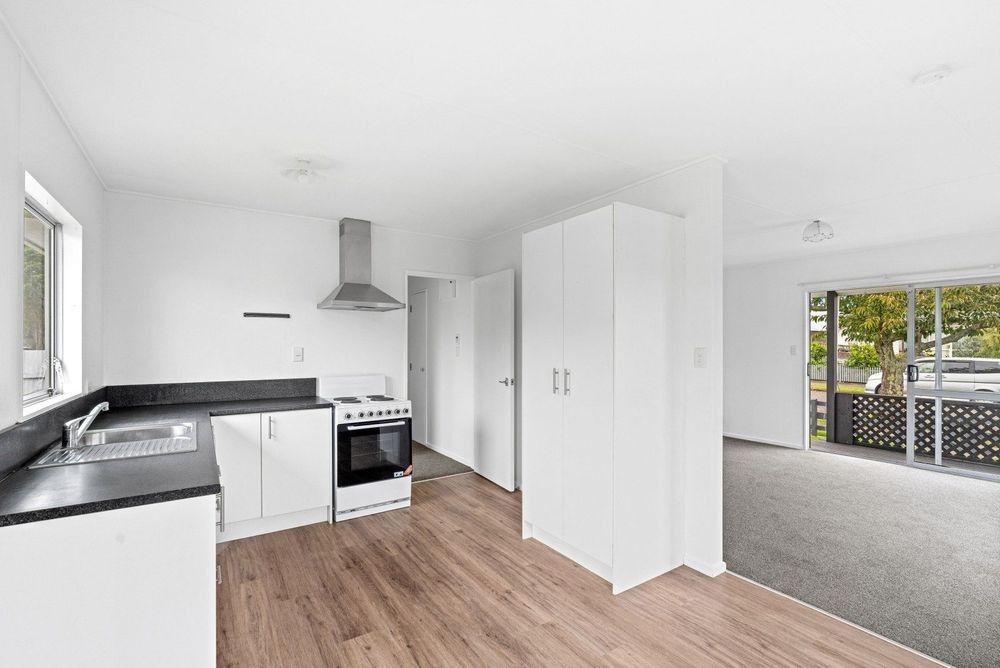 9 Guy Avenue, Levin 2