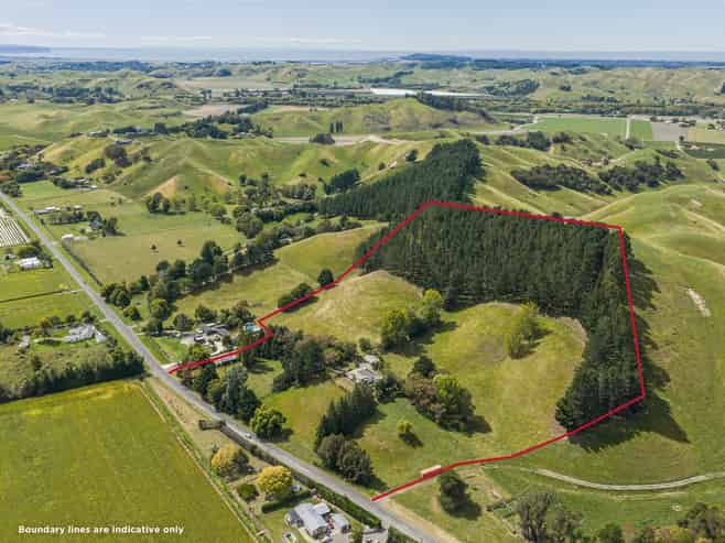 564 Swamp Road, Puketapu
