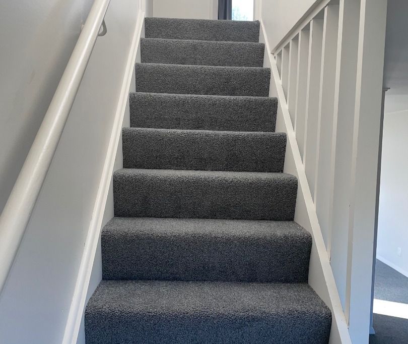 Easy Living 5