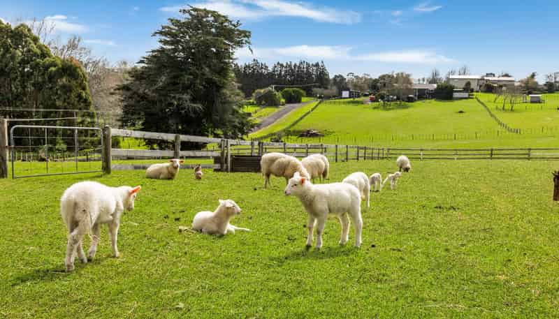 24B Eggleton Road, Patumahoe
