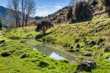 1367 Leatham Road, Wairau Valley
