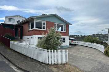 24 Revans St, Miramar