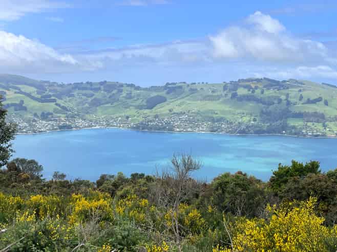249 Signal Hill Road, Opoho