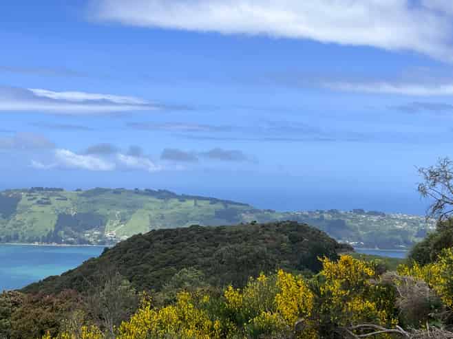 249 Signal Hill Road, Opoho