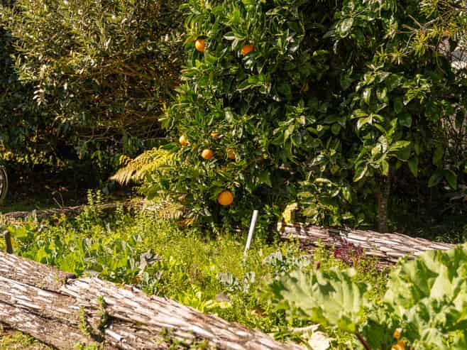 360 Main Road, Tairua