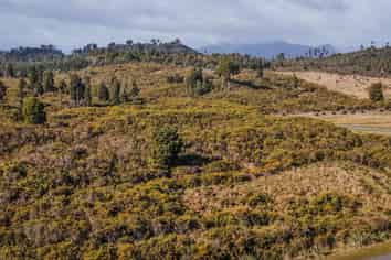 1128 Woodstock-Rimu Road, Hokitika