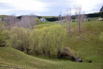 612 Flag Range Road, Sherenden