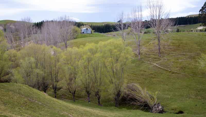 612 Flag Range Road, Sherenden