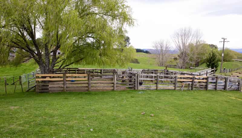 612 Flag Range Road, Sherenden