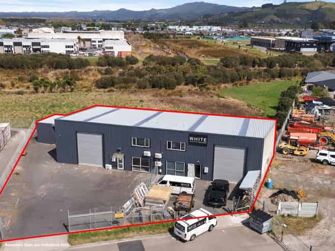 Dual unit investment with options