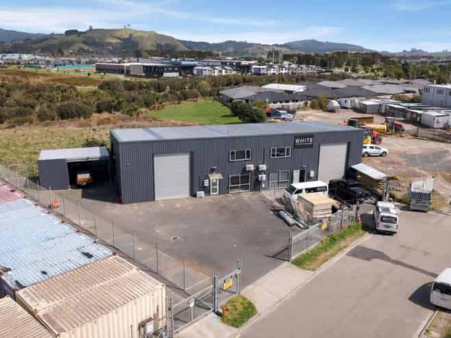 Dual unit investment with options