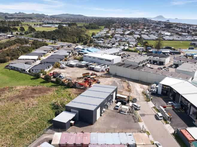 Dual unit investment with options