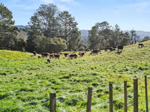 686 Wright Road, Aongatete