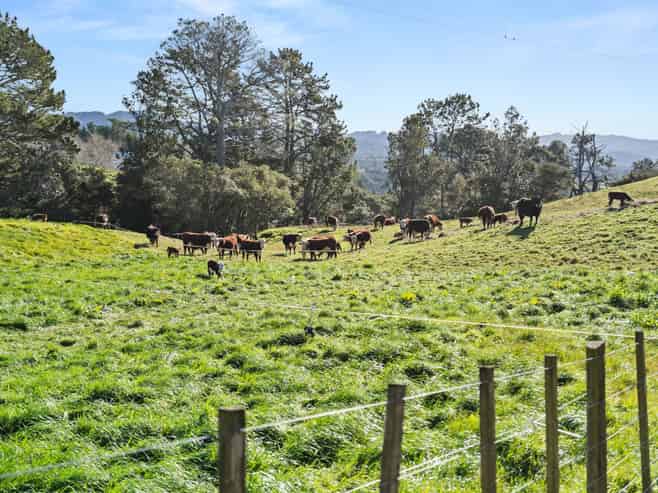 686 Wright Road, Aongatete