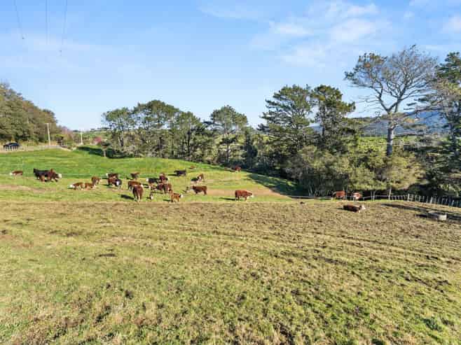 686 Wright Road, Aongatete