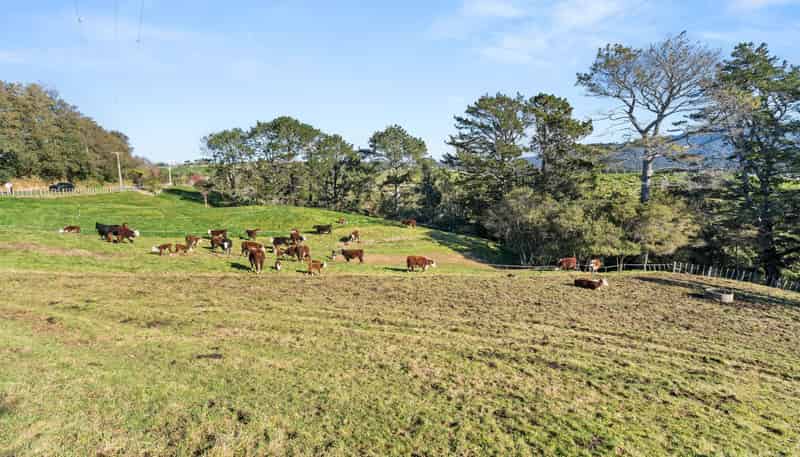 686 Wright Road, Aongatete