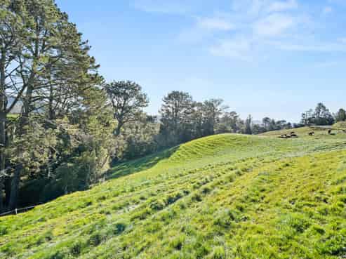 686 Wright Road, Aongatete