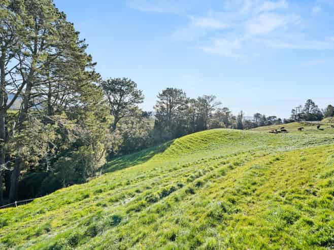 686 Wright Road, Aongatete
