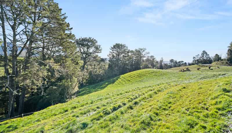 686 Wright Road, Aongatete