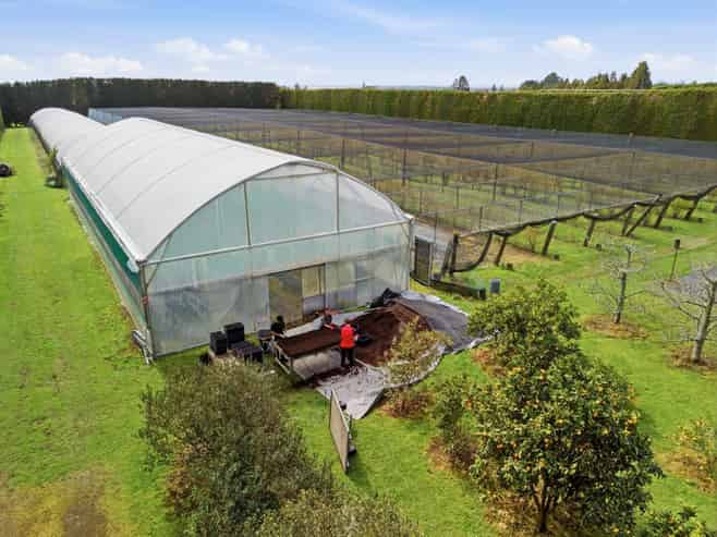 1040 Te Matai Road, Te Puke