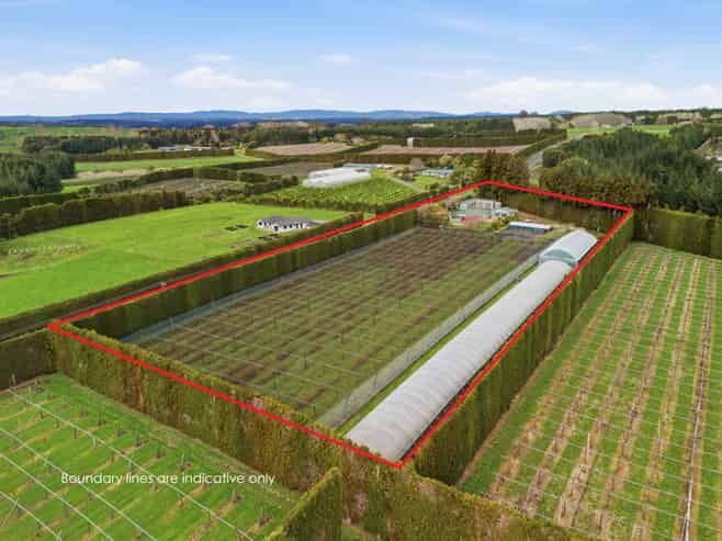 1040 Te Matai Road, Te Puke