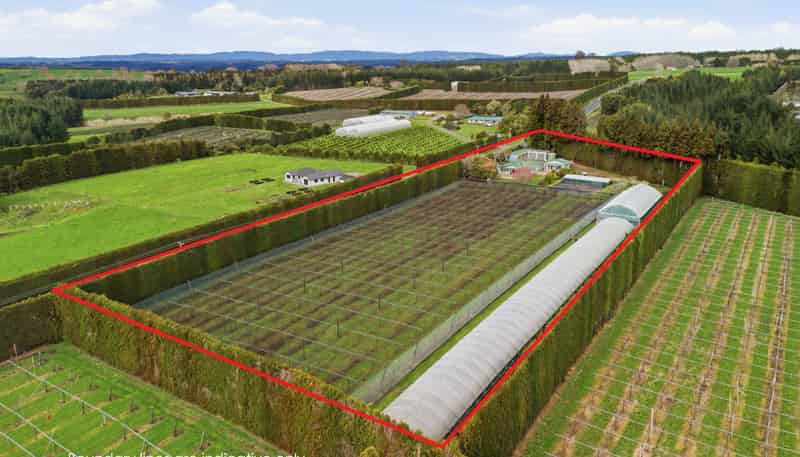 1040 Te Matai Road, Te Puke