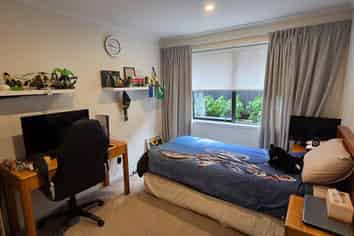 11 Peter Bourne Drive, Pokeno