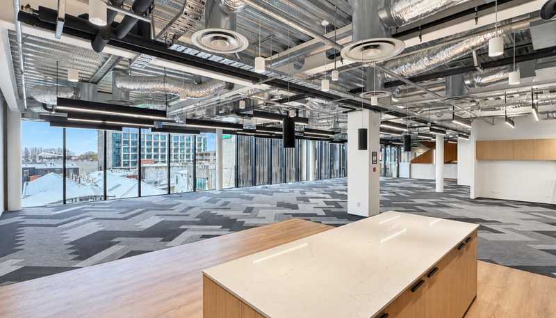 213 Tuam Street, Christchurch Central