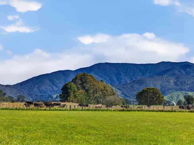2 / 36A Spencer Lane, Greytown
