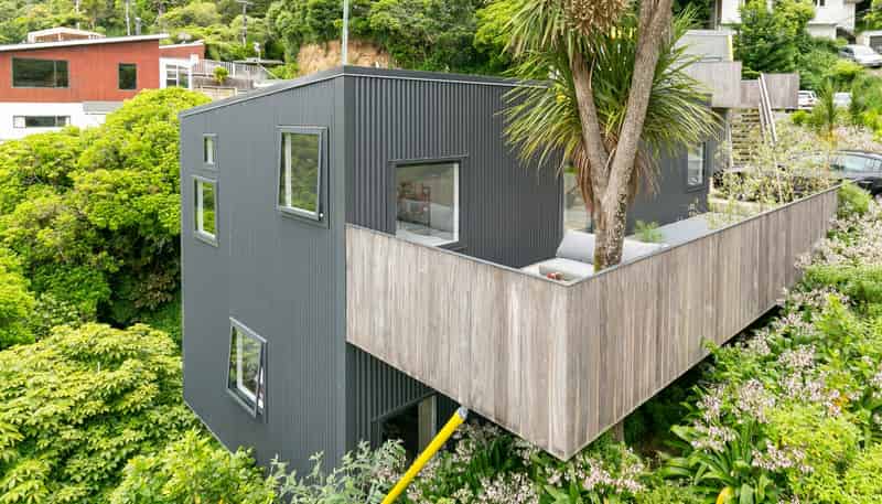 47 Mount Pleasant Road, Aro Valley