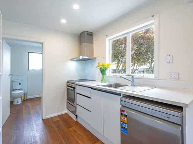 19 Albert Street, Palmerston North