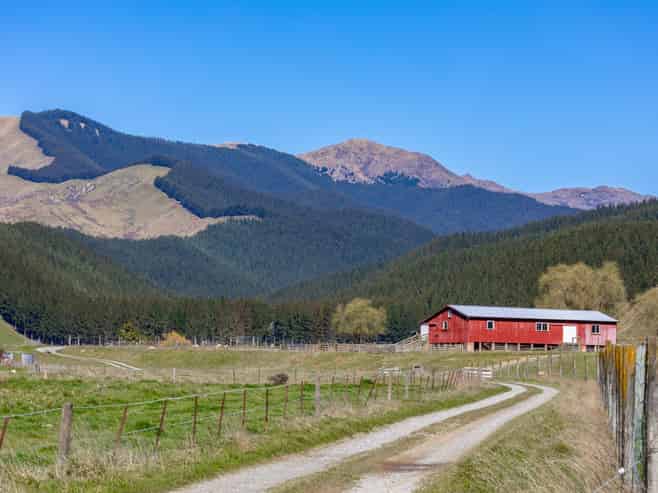 3487 State Highway 63, Wairau Valley