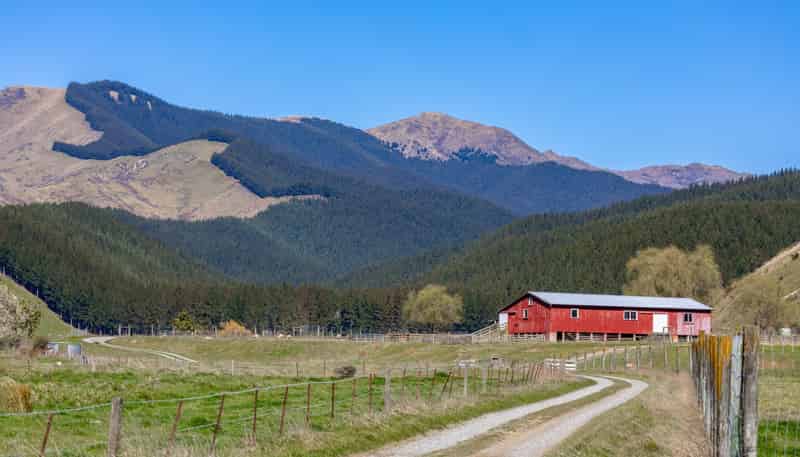 3487 State Highway 63, Wairau Valley