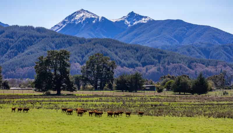 3487 State Highway 63, Wairau Valley