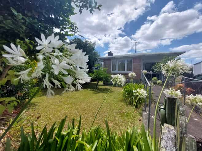 53 Cook Street, Hamilton East