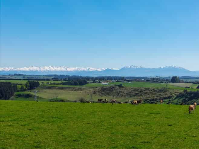 427 Pages Road, Gleniti
