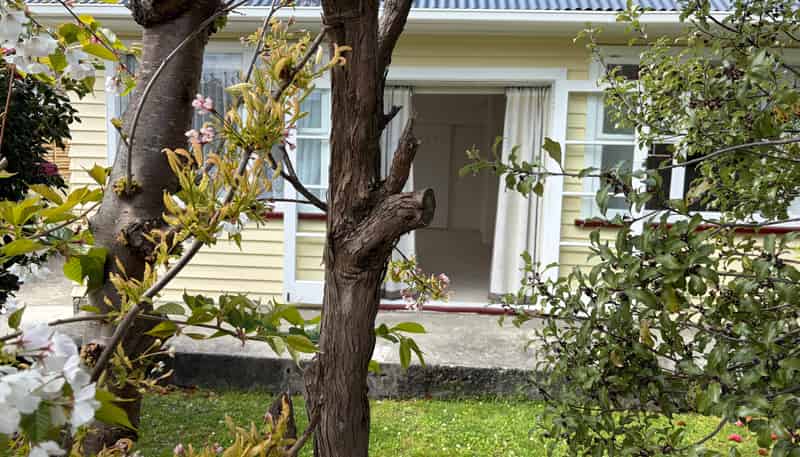 15 Waite Street, Featherston