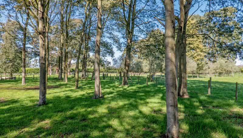 225 Blakes Road, Prebbleton