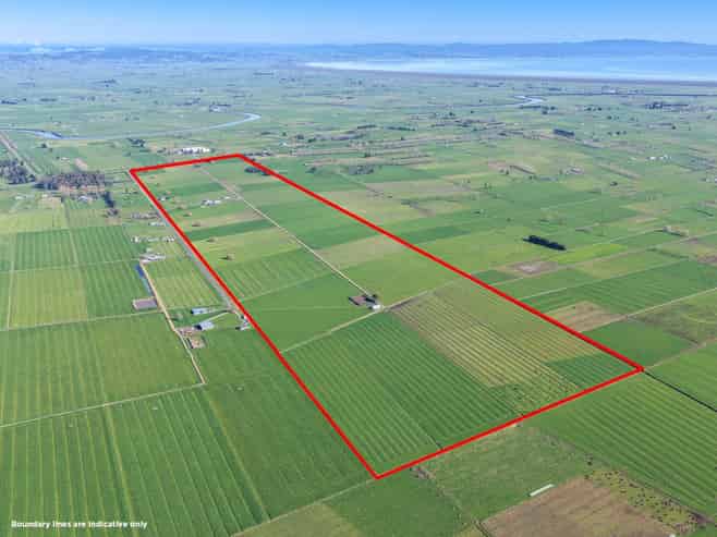 55 Opua Road, Turua