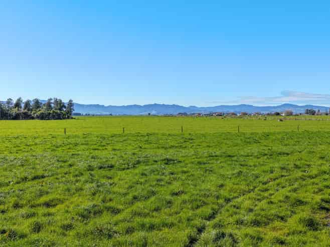 55 Opua Road, Turua